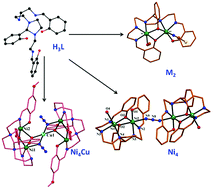 Graphical abstract: Octadentate flexible ligands as a platform for a variety of homo and heterometallic complexes containing diphenoxido and phenoxido/azido bridging groups: synthesis, structure and magnetic properties