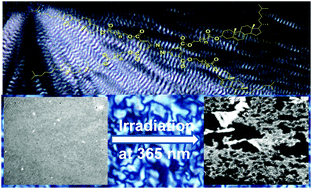 Graphical abstract: Photo-responsive liquid crystals derived from azobenzene centered cholesterol-based tetramers