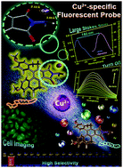 Graphical abstract: Novel Cu2+-specific “Turn-ON” fluorescent probe based on [5]helicene with very large Stokes shift and its potential application in living cells