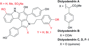 Graphical abstract: Total synthesis of the dictyodendrins as an arena to highlight emerging synthetic technologies