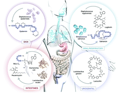 Graphical abstract: Antibiotics and specialized metabolites from the human microbiota