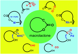 Graphical abstract: Catalytic macrolactonizations for natural product synthesis