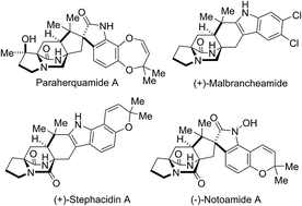 Graphical abstract: Structural and stereochemical diversity in prenylated indole alkaloids containing the bicyclo[2.2.2]diazaoctane ring system from marine and terrestrial fungi
