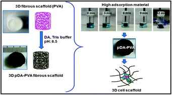 Graphical abstract: A novel approach for fabricating highly tunable and fluffy bioinspired 3D poly(vinyl alcohol) (PVA) fiber scaffolds