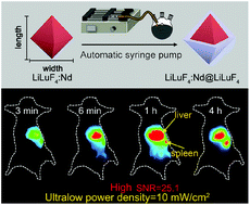 Graphical abstract: Ultralow-power near-infrared excited neodymium-doped nanoparticles for long-term in vivo bioimaging