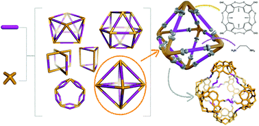 Graphical abstract: Topological landscapes of porous organic cages