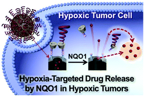 Graphical abstract: Mesoporous nanocarriers with a stimulus-responsive cyclodextrin gatekeeper for targeting tumor hypoxia