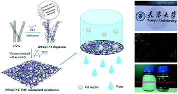 Graphical abstract: Synergy of the mechanical, antifouling and permeation properties of a carbon nanotube nanohybrid membrane for efficient oil/water separation