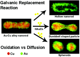 Graphical abstract: Formation of bimetallic dumbbell shaped particles with a hollow junction during galvanic replacement reaction