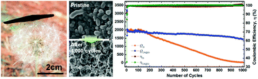 Graphical abstract: Nanospherical solid electrolyte interface layer formation in binder-free carbon nanotube aerogel/Si nanohybrids to provide lithium-ion battery anodes with a long-cycle life and high capacity