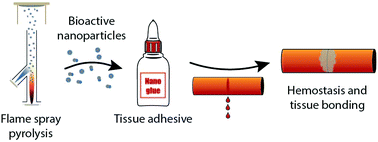 Graphical abstract: Developing a tissue glue by engineering the adhesive and hemostatic properties of metal oxide nanoparticles