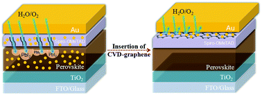 Graphical abstract: Air and thermally stable perovskite solar cells with CVD-graphene as the blocking layer