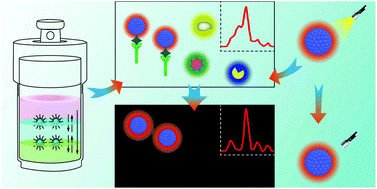 Graphical abstract: Rechargeable and LED-activated ZnGa2O4 : Cr3+ near-infrared persistent luminescence nanoprobes for background-free biodetection