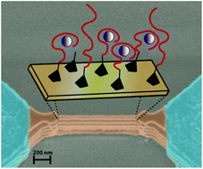 Graphical abstract: The memristive effect as a novelty in drug monitoring