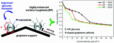 Graphical abstract: Platinum nanowires anchored on graphene-supported platinum nanoparticles as a highly active electrocatalyst towards glucose oxidation for fuel cell applications