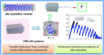 Graphical abstract: Carbon nanoscroll–silk crystallite hybrid structures with controllable hydration and mechanical properties
