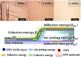 Graphical abstract: Multi-layer transfer and lamination (MTL) process assisted by a high-pressure air jet for highly efficient solution-processed polymer light emitting diodes