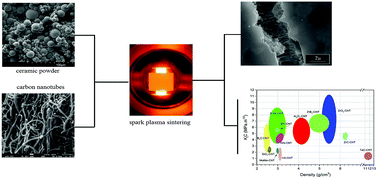 Graphical abstract: Physicomechanical properties of spark plasma sintered carbon nanotube-containing ceramic matrix nanocomposites
