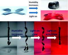 Graphical abstract: Multi-responsive actuators based on a graphene oxide composite: intelligent robot and bioinspired applications