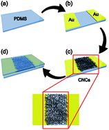 Graphical abstract: A flexible, ultra-sensitive strain sensor based on carbon nanocoil network fabricated by an electrophoretic method