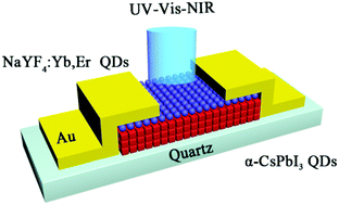 Graphical abstract: Stable ultra-fast broad-bandwidth photodetectors based on α-CsPbI3 perovskite and NaYF4:Yb,Er quantum dots