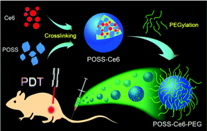 Graphical abstract: Photosensitizer (PS)/polyhedral oligomeric silsesquioxane (POSS)-crosslinked nanohybrids for enhanced imaging-guided photodynamic cancer therapy