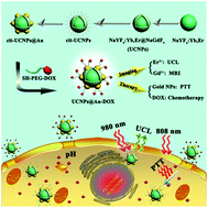 Graphical abstract: In situ crystal growth of gold nanocrystals on upconversion nanoparticles for synergistic chemo-photothermal therapy