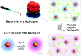 Graphical abstract: Injectable nanoengineered stimuli-responsive hydrogels for on-demand and localized therapeutic delivery