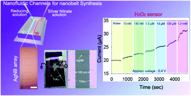 Graphical abstract: A cracking-assisted micro-/nanofluidic fabrication platform for silver nanobelt arrays and nanosensors