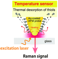 Graphical abstract: Damage-free tip-enhanced Raman spectroscopy for heat-sensitive materials