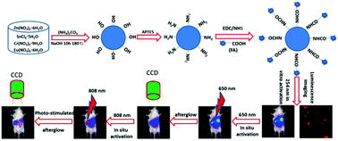 Graphical abstract: Five-nanometer ZnSn2O4:Cr,Eu ultra-small nanoparticles as new near infrared-emitting persistent luminescent nanoprobes for cellular and deep tissue imaging at 800 nm