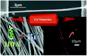 Graphical abstract: 1D copper nanowires for flexible printable electronics and high ampacity wires