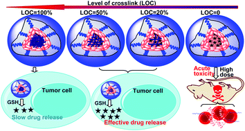 Graphical abstract: A facile strategy for fine-tuning the stability and drug release of stimuli-responsive cross-linked micellar nanoparticles towards precision drug delivery