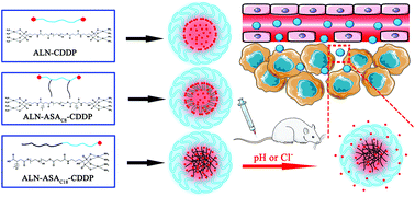 Graphical abstract: Coordination self-assembly of platinum–bisphosphonate polymer–metal complex nanoparticles for cisplatin delivery and effective cancer therapy
