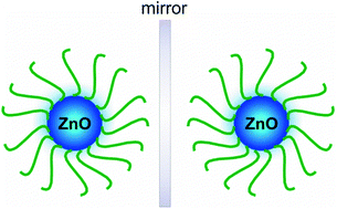 Graphical abstract: An organometallic route to chiroptically active ZnO nanocrystals