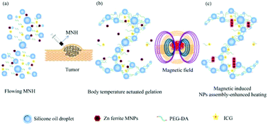 Graphical abstract: Injectable thermosensitive magnetic nanoemulsion hydrogel for multimodal-imaging-guided accurate thermoablative cancer therapy