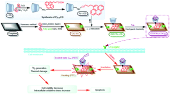 Graphical abstract: Fabrication of a graphene/C60 nanohybrid via γ-cyclodextrin host–guest chemistry for photodynamic and photothermal therapy