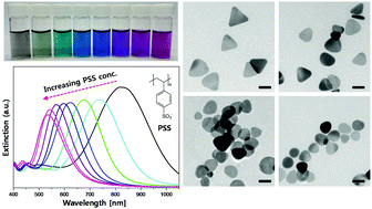 Graphical abstract: A systematic study of triangular silver nanoplates: one-pot green synthesis, chemical stability, and sensing application