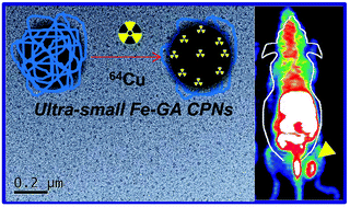 Graphical abstract: Ultra-small iron-gallic acid coordination polymer nanoparticles for chelator-free labeling of 64Cu and multimodal imaging-guided photothermal therapy