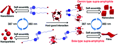 Graphical abstract: Control on the photo-responsive assembly of a stilbene-containing amphiphile by using pillar[5]arene-based host–guest interactions
