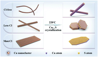 Graphical abstract: Analogous self-assembly and crystallization: a chloride-directed orientated self-assembly of Cu nanoclusters and subsequent growth of Cu2−xS nanocrystals