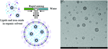 Graphical abstract: Rapid synthesis of lipid nanoparticles containing hydrophobic inorganic nanoparticles
