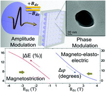 Graphical abstract: Magnetoelastoelectric coupling in core–shell nanoparticles enabling directional and mode-selective magnetic control of THz beam propagation