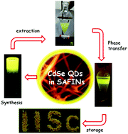 Graphical abstract: In situ formation of luminescent CdSe QDs in a metallohydrogel: a strategy towards synthesis, isolation, storage and re-dispersion of the QDs