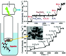 Graphical abstract: One-pot synthesis of dendritic Pt3Ni nanoalloys as nonenzymatic electrochemical biosensors with high sensitivity and selectivity for dopamine detection