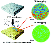 Graphical abstract: Visualizing and quantifying the nanoscale hydrophobicity and chemical distribution of surface modified polyethersulfone (PES) membranes