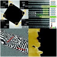 Graphical abstract: Intrinsic multiferroics in an individual single-crystalline Bi5Fe0.9Co0.1Ti3O15 nanoplate