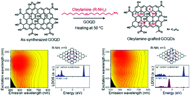 Graphical abstract: Selective engineering of oxygen-containing functional groups using the alkyl ligand oleylamine for revealing the luminescence mechanism of graphene oxide quantum dots