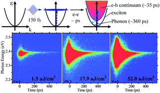 Graphical abstract: Hot electron–hole plasma dynamics and amplified spontaneous emission in ZnTe nanowires