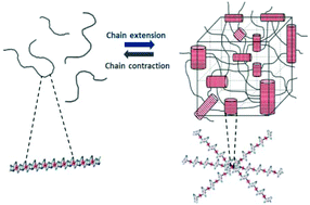 Graphical abstract: Integration of molecular machines into supramolecular materials: actuation between equilibrium polymers and crystal-like gels